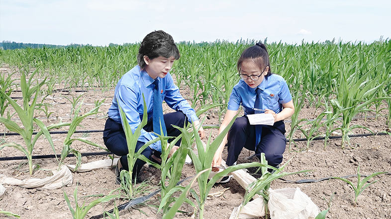 ɽ��ʮ���ꡡ��������ƪ